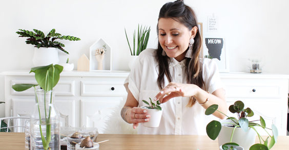 Plantes DIY